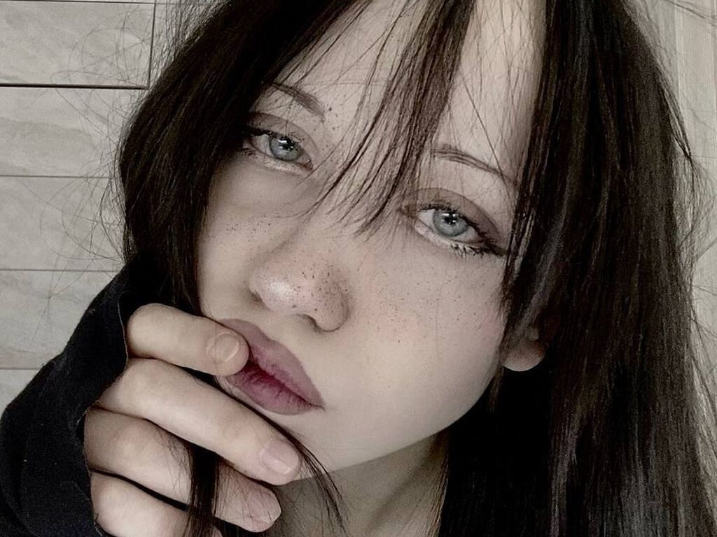Image of cam model HertaArcega from Web Night Cam