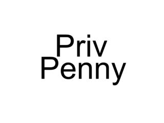 PrivPenny