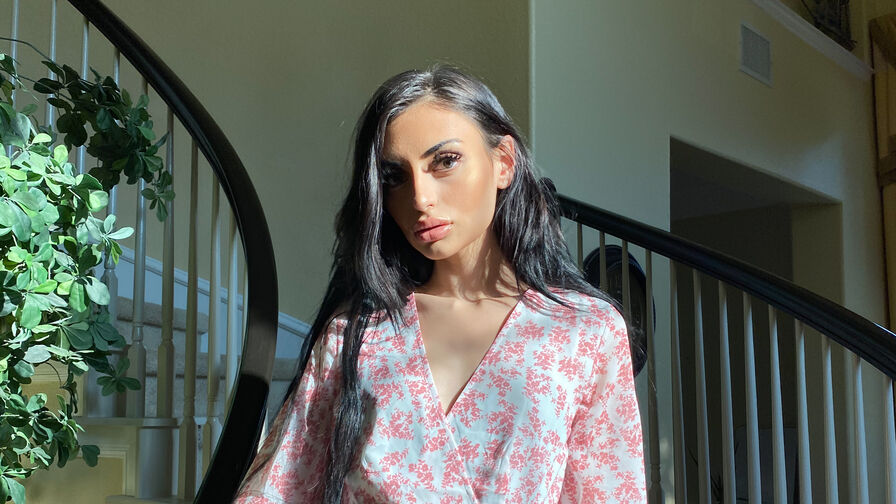 Geld cam, Geld webcam