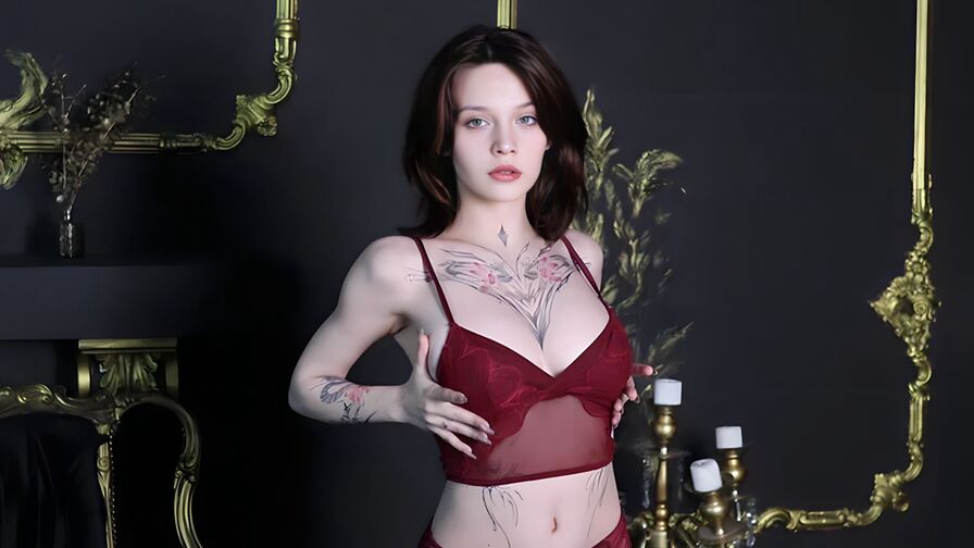 AniParadiser Porn Vip Show