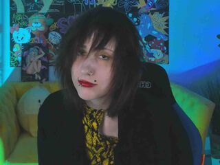 streaming webcam DashLimer
