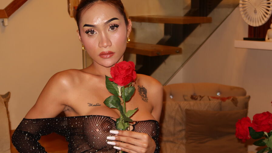 Watch MarigonaCarolina live on Sex Zoom