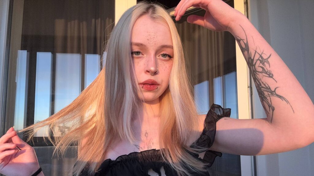 LeilaKitten cover