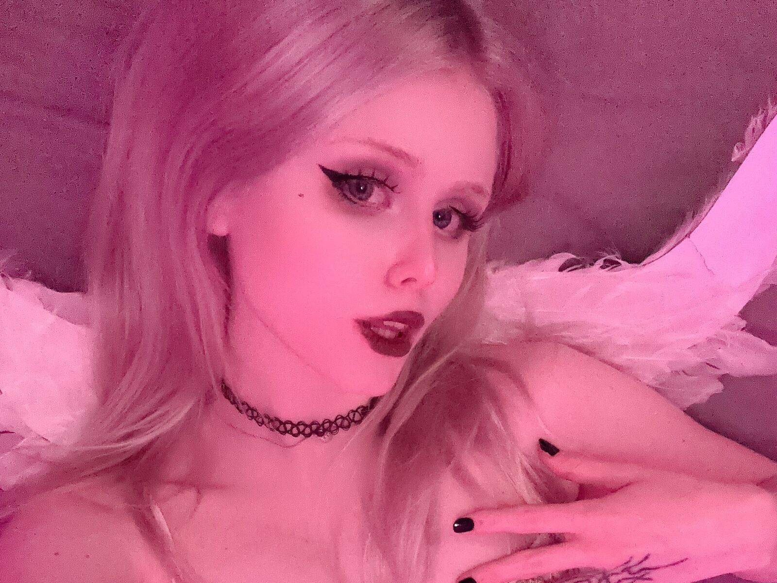Live cam for SunriseAngel