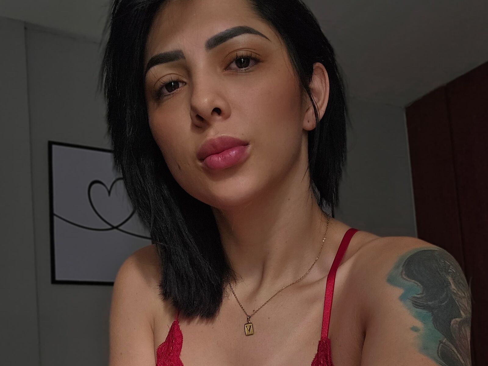 Live cam for ViviNovah