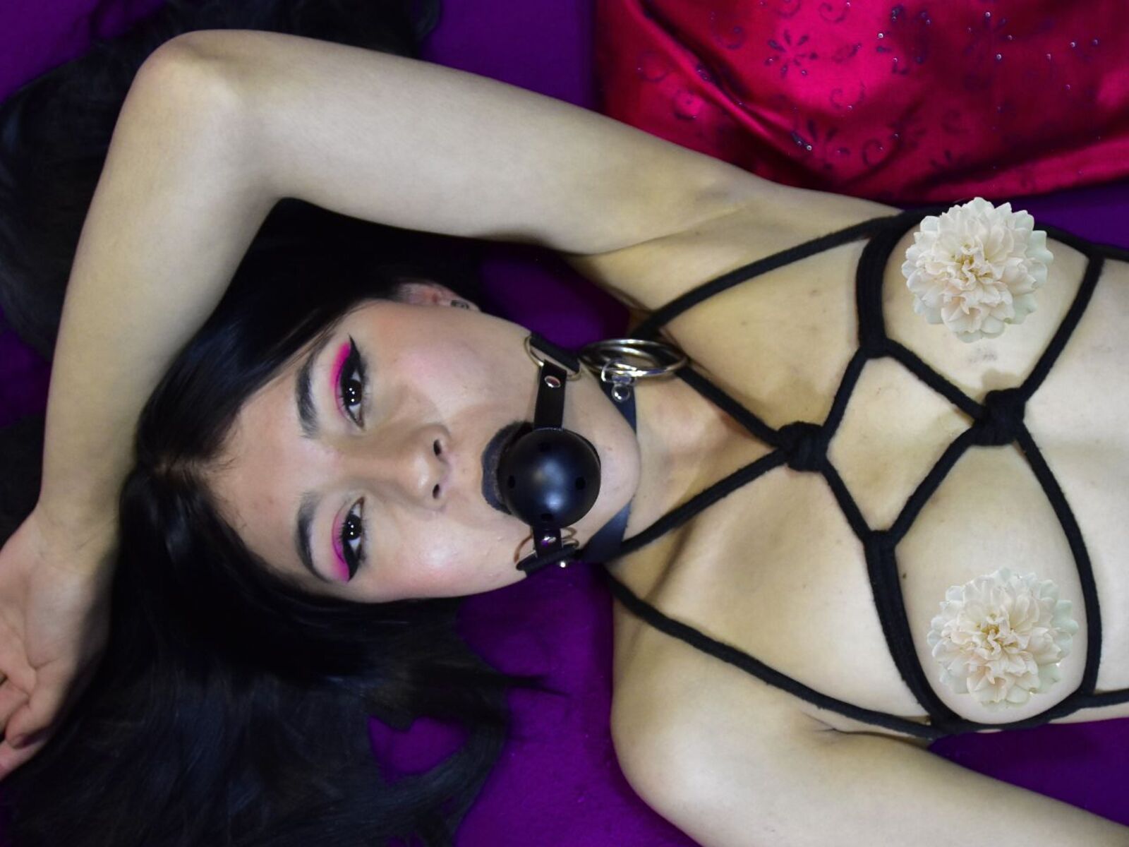 Live cam for AriadnaGrow