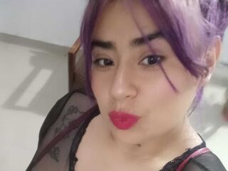 LorentQuint webcam model