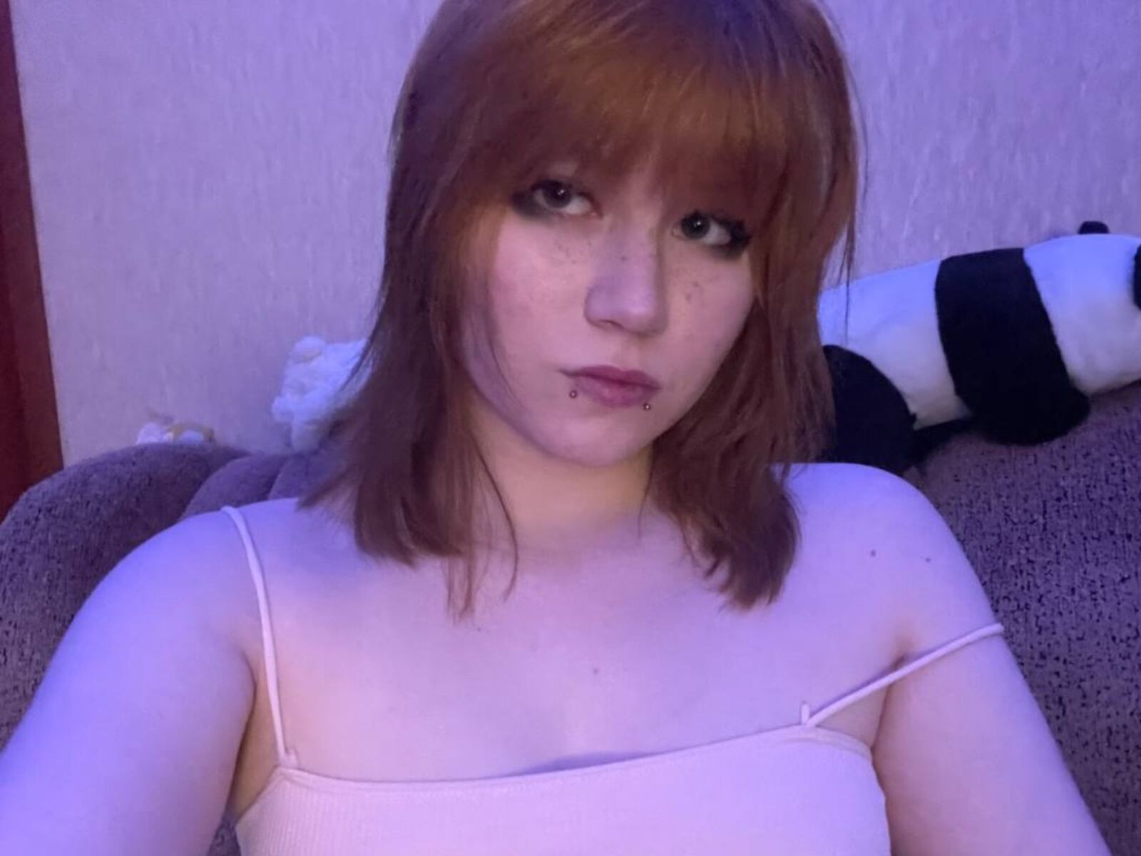 Live cam for MiSokimo