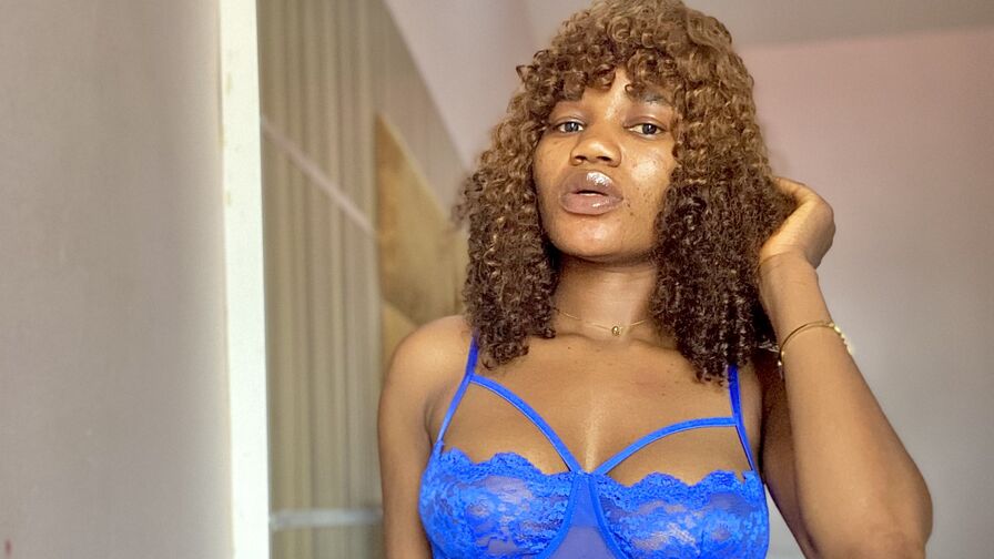 Watch DanielMercy live on shemalefreeporn.net