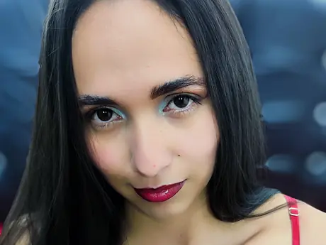 Chat with NixieSky