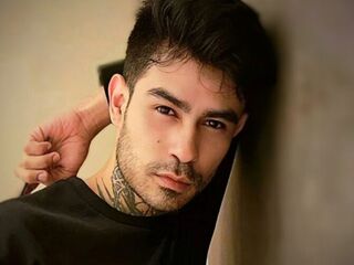 StefanoEverett StefanoEverett