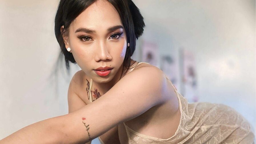 Watch MereseLaurel live on shemalefreeporn.net